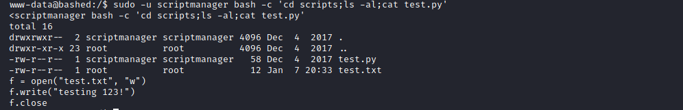 bashed test.py